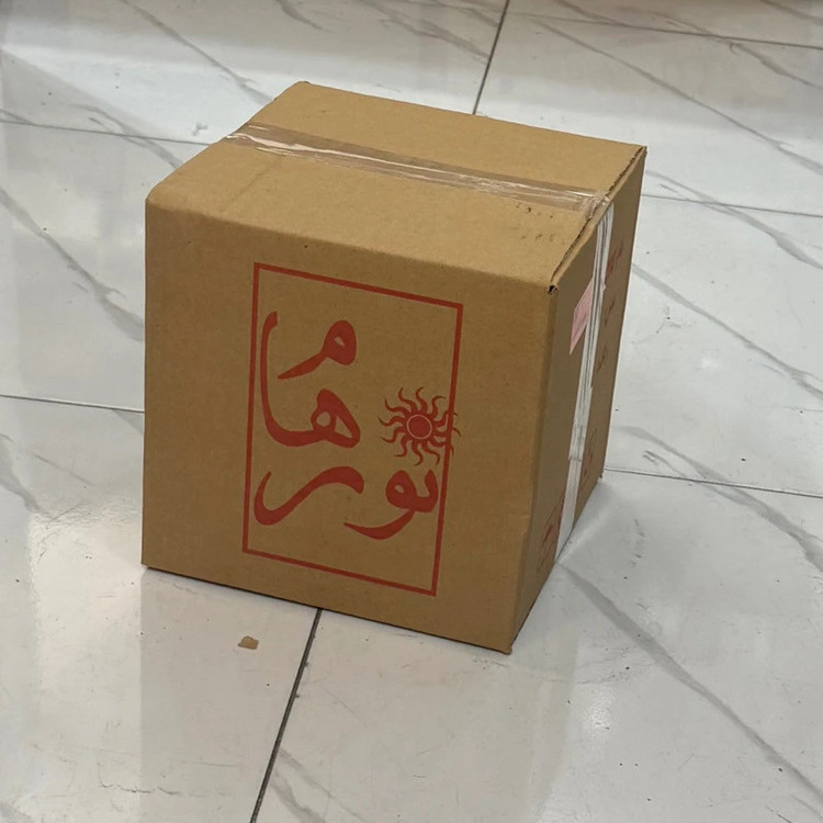آباژور رومیزی نورهام مدل NHM-SENATORPLUSSLVR-28