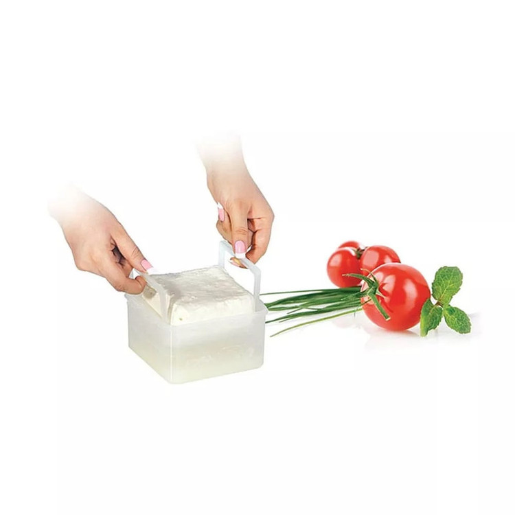 ظرف نگهدارنده لیمون مدل 1302