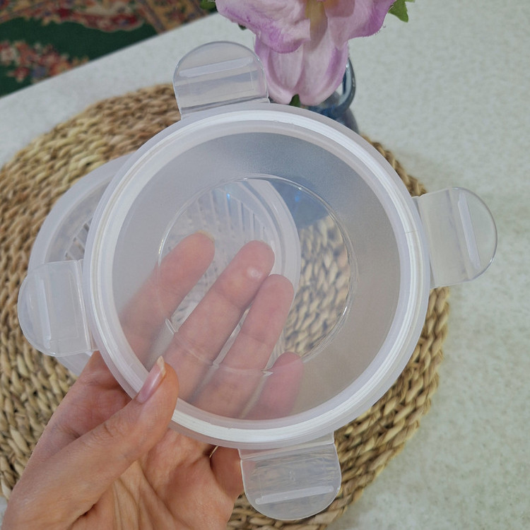 ظرف نگهدارنده لیمون مدل خیارشور کد HS2429