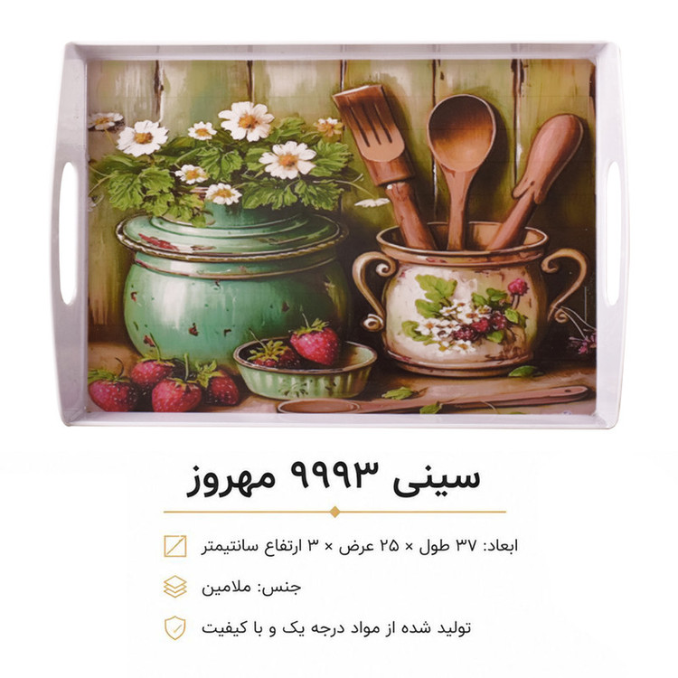 سینی دسته دار مهروز مدل 9993 بانکه سایز 25×37 سانتی متر