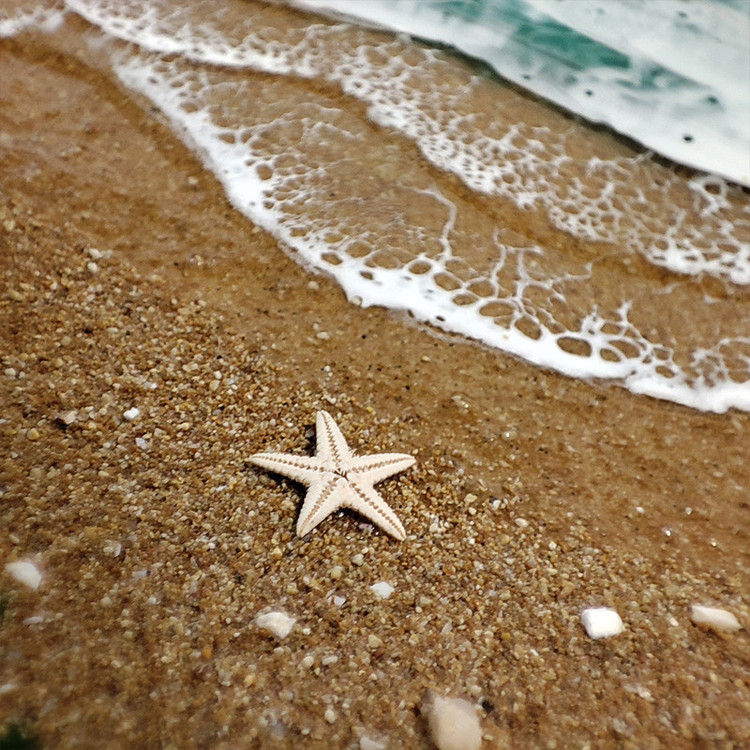 سینی دسته دار طرح برجسته ساحل دریا و موج کد B1 سایز ۳۵ *۳۵ سانتیمتر
