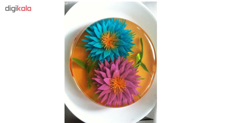 ست ابزار ژله تزریقی مدل 010 بسته ۱۰ عددی
