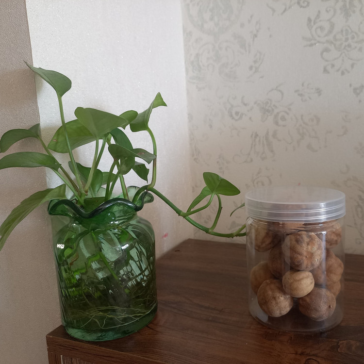بانکه مدل استوانه ای کد 600cc بسته 10 عددی