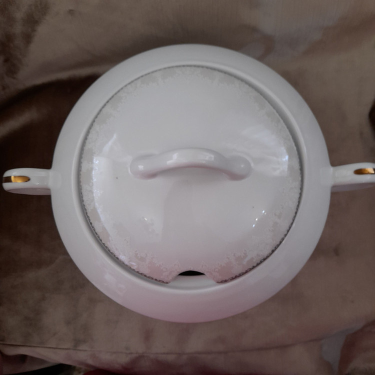 سوپخوری چینی تقدیس مدل البرز کد 01 با در و دستگیره، مناسب سرو سوپ با شستشوی دست و ماشین ظرفشویی، ابعاد 22×22×15 سانتیمتر همراه با جعبه