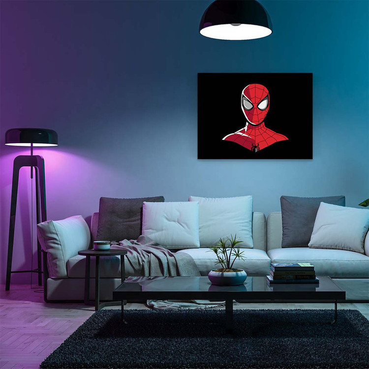تابلو شاسی مدل spider man کد S-16020
