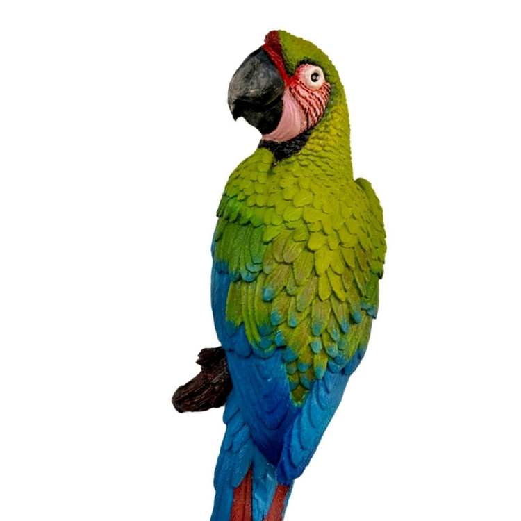 مجسمه مدل طوطی ماکائو