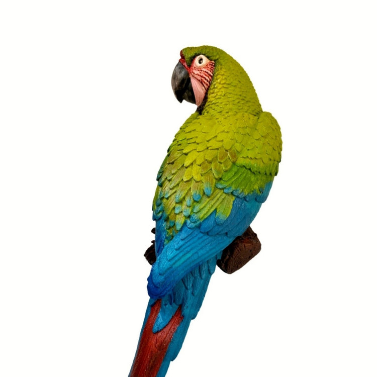 مجسمه مدل طوطی ماکائو