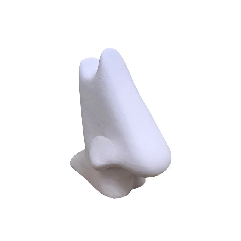 مجسمه مدل نگهدارنده عینک