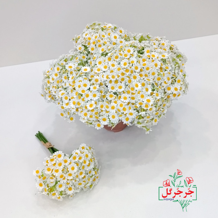 دسته گل مصنوعی بابونه جُرجُرگل مدل 7 شاخه با طراحی طبیعی، الیاف مقاوم در برابر نور و رطوبت، مناسب دکوراسیون رومیزی و فضای باز، ارتفاع 30 سانتیمتر، قابل استفاده در مراسم و هدیه ماندگار