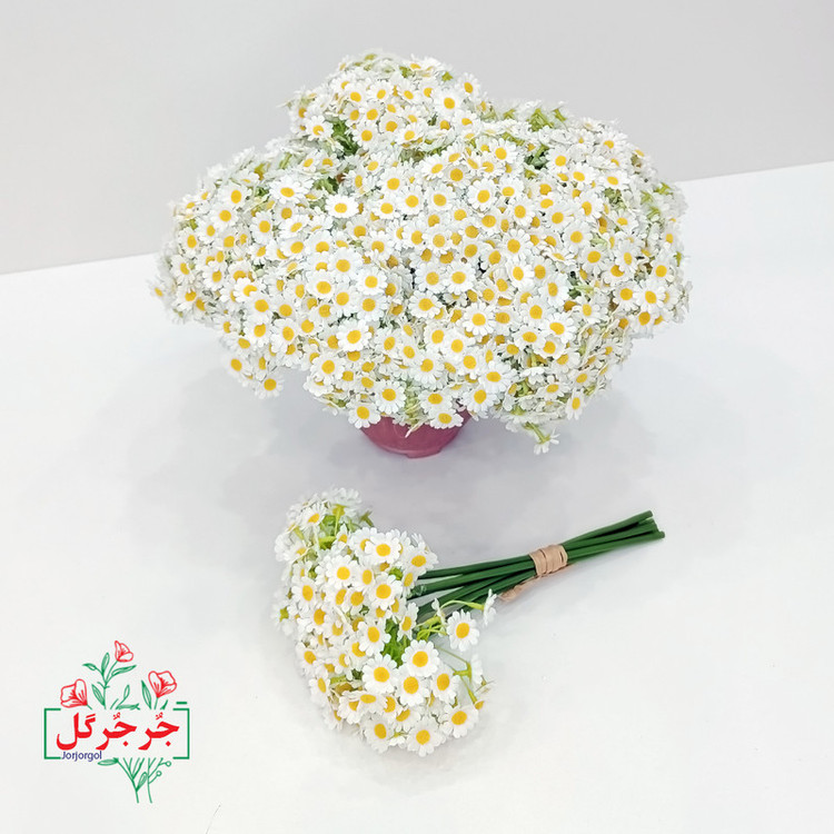 دسته گل مصنوعی بابونه جُرجُرگل مدل 7 شاخه با طراحی طبیعی، الیاف مقاوم در برابر نور و رطوبت، مناسب دکوراسیون رومیزی و فضای باز، ارتفاع 30 سانتیمتر، قابل استفاده در مراسم و هدیه ماندگار