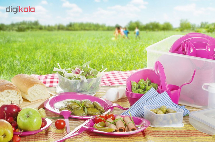 سبد پیک نیک 50 پارچه بیتا کد 113