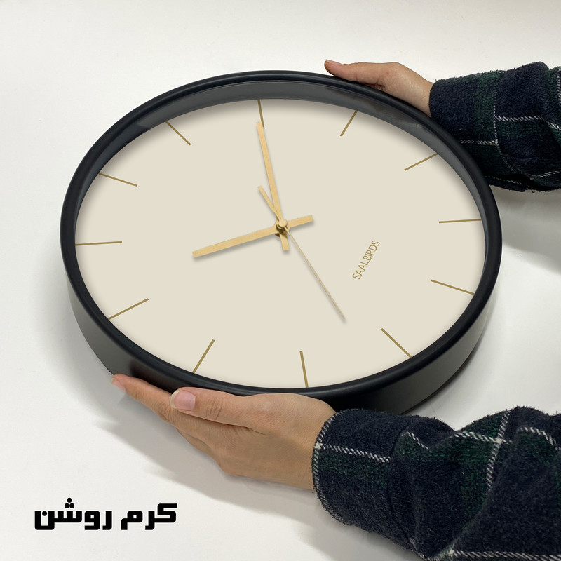 ساعت دیواری کوارتز سال بردز طرح مینیمال مدل CW-924TL