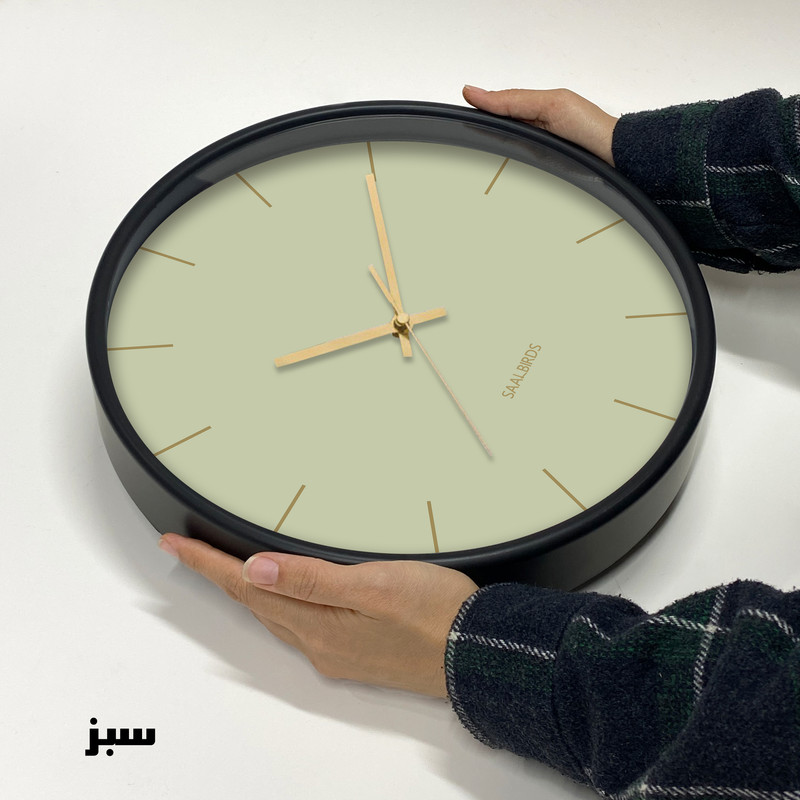 ساعت دیواری کوارتز سال بردز طرح مینیمال مدل CW-924TL