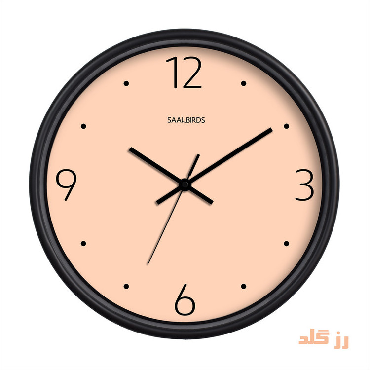 ساعت دیواری سال بردز طرح مینیمال مدل CW-760