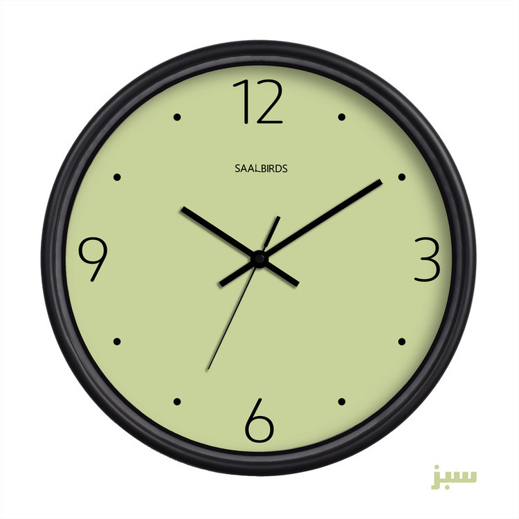 ساعت دیواری سال بردز طرح مینیمال مدل CW-760