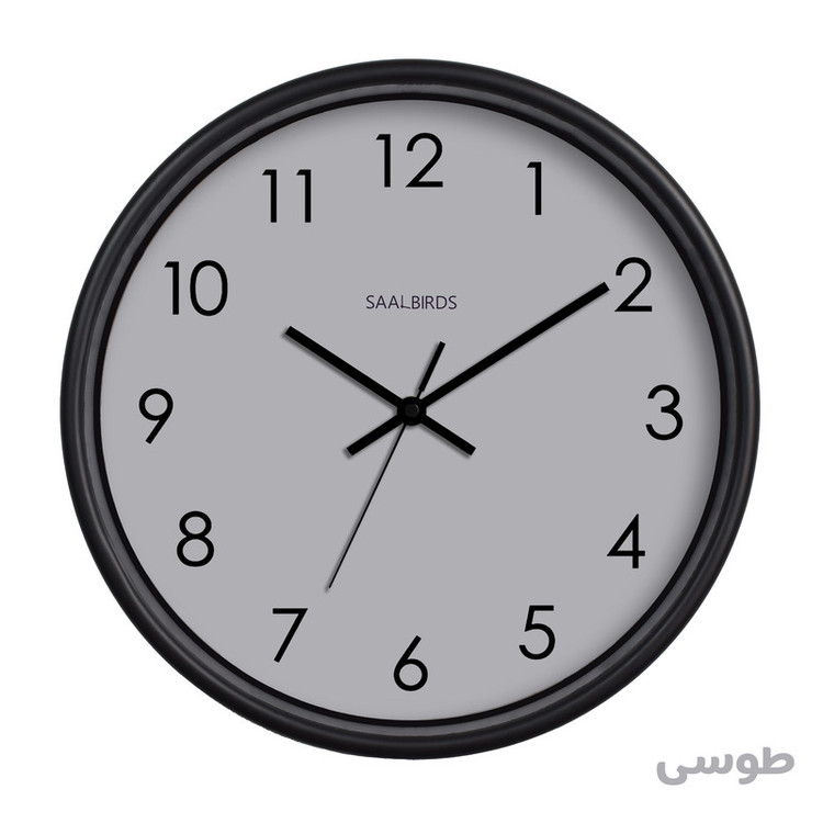 ساعت دیواری سال بردز مدل CW-160
