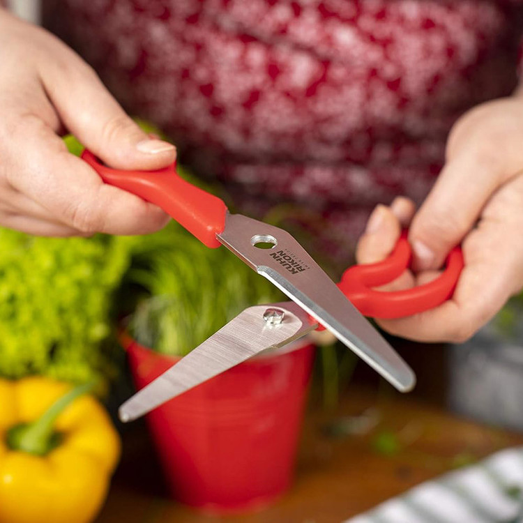 قیچی آشپزخانه کن ریکن مدل Household