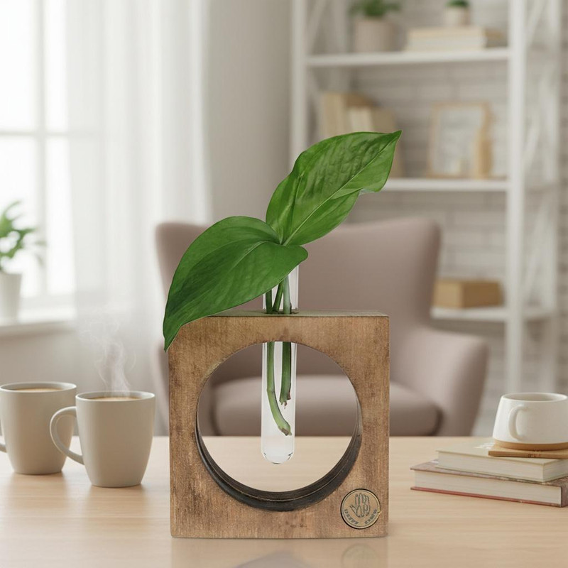 گلدان دکوری چوبی مدل N2 مناسب قرارگیری گیاهان آپارتمانی کوچک با طراحی مدرن و ابعاد 10x10x4 سانتی‌متر سبک و کم‌حجم