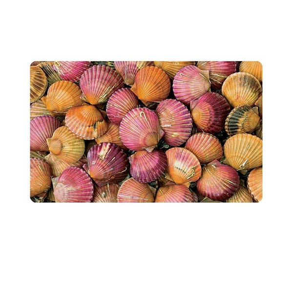 پادری مدل مدرن و کلاسیک کد HSHMP0013 سایز 76x46 سانتی متر