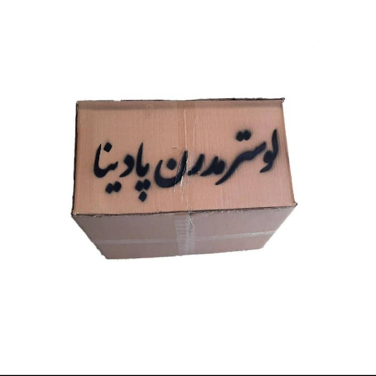 Īباژور رومیزی پادینا مدل مدرن کد AS25
