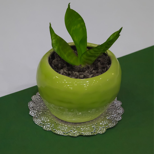 کاغذ شیرینی پزی مدل گیپور کد 11.5 بسته 50 عددی