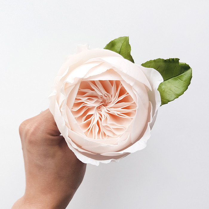 ابزار تزیین کیک بهگز مدل گل رز مجموعه 9 عددی