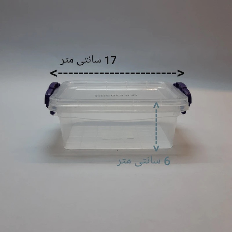 ظرف نگهدارنده رزگلد مدل فریزری قفلی 2 بسته 2 عددی
