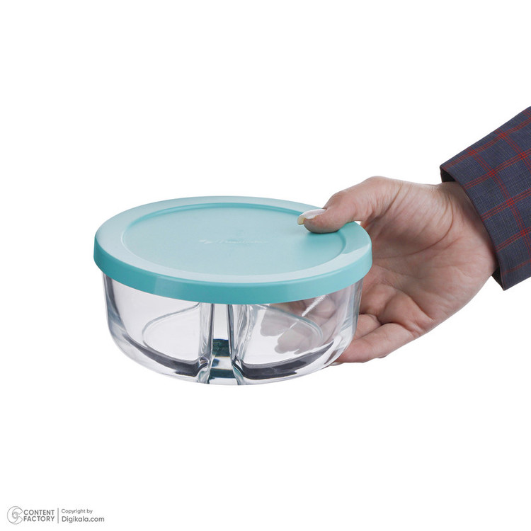 ظرف نگهدارنده پاشاباغچه مدل Polar کد 530683