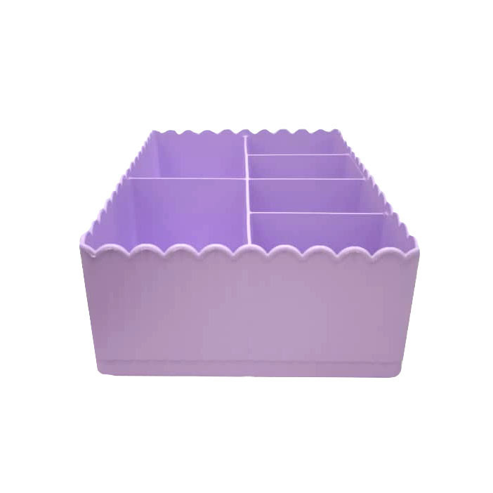 ارگانایزر مدل ORm6