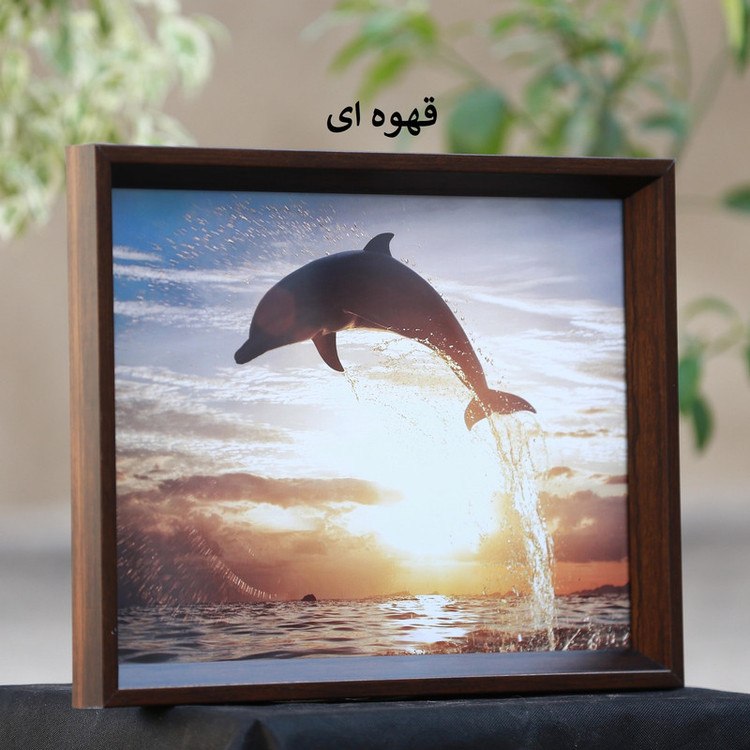 قاب عکس بکلیت مدل دیواری کد 20x30-208