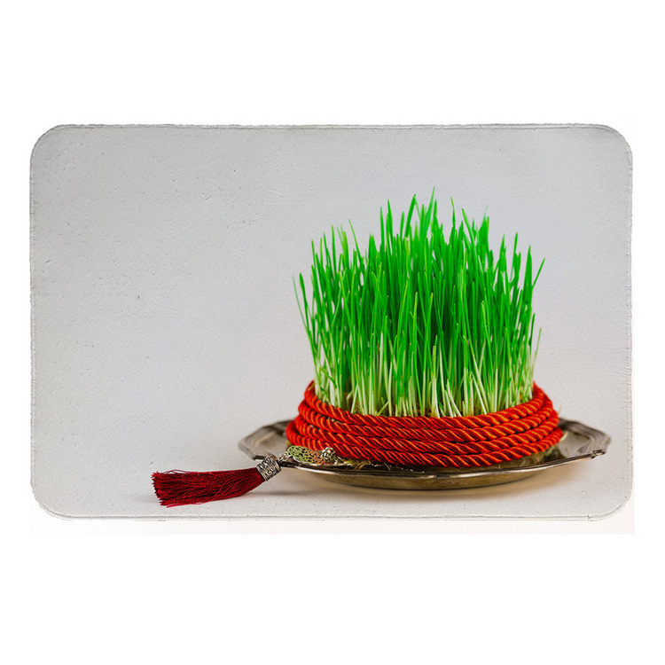 رطوبت گیر کنار سینک کد 5767