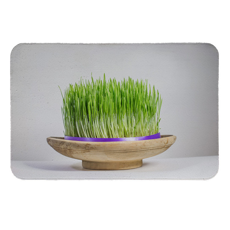 رطوبت گیر کنار سینک کد 5763