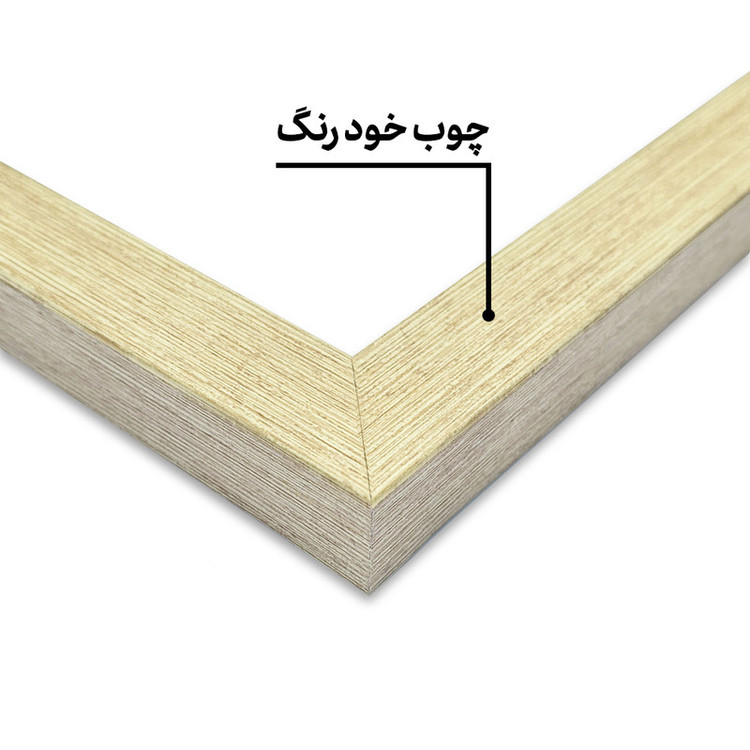 تابلو خندالو مدل خانه ی صورتی کد F5940