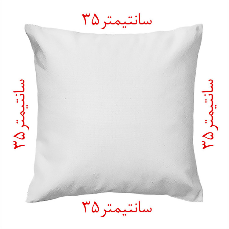 کاور کوسن مدل مخمل co35-257