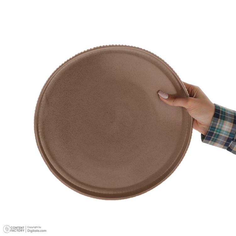 دیس بیویکی مدل الیو کد 455220 ضدحرارت مناسب مایکروویو، فر و آونتوستر، ابعاد 30×30×3 سانتیمتر، وزن 960 گرم