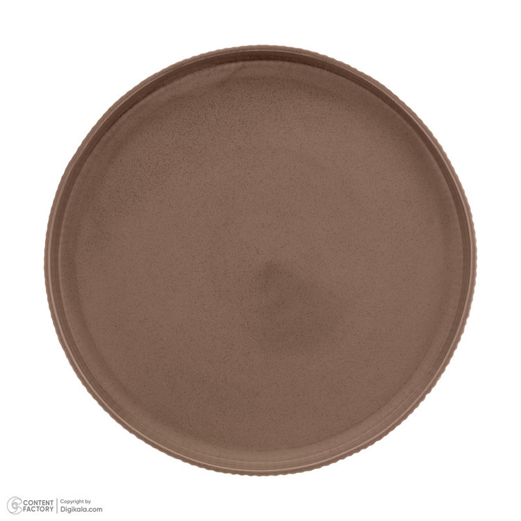 دیس بیویکی مدل الیو کد 455220 ضدحرارت مناسب مایکروویو، فر و آونتوستر، ابعاد 30×30×3 سانتیمتر، وزن 960 گرم