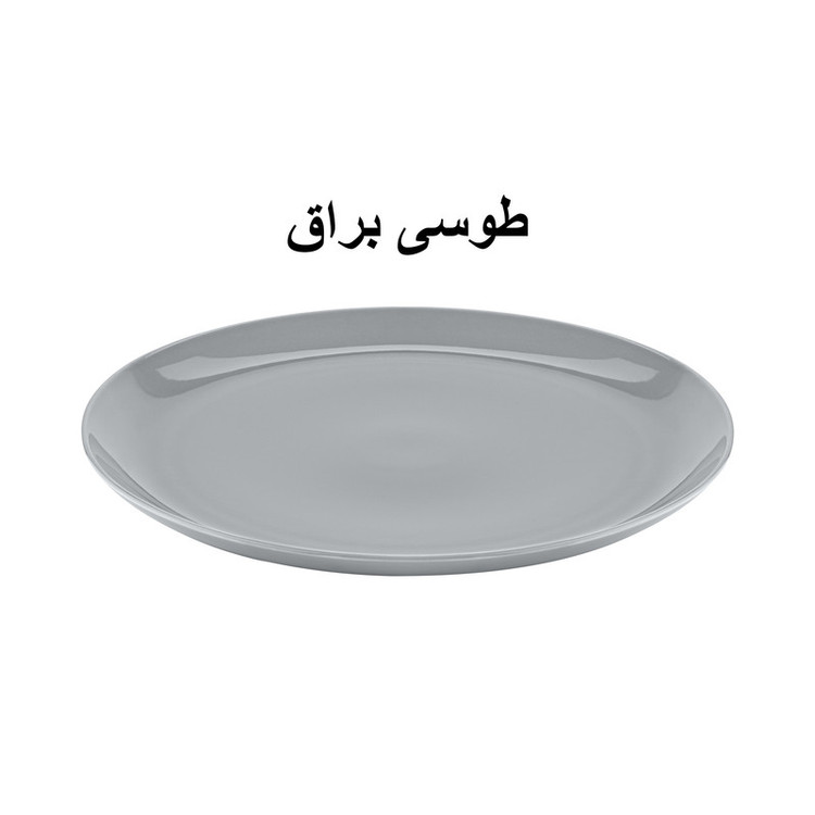 دیس سرو طرح آتوسا کد GK748403
