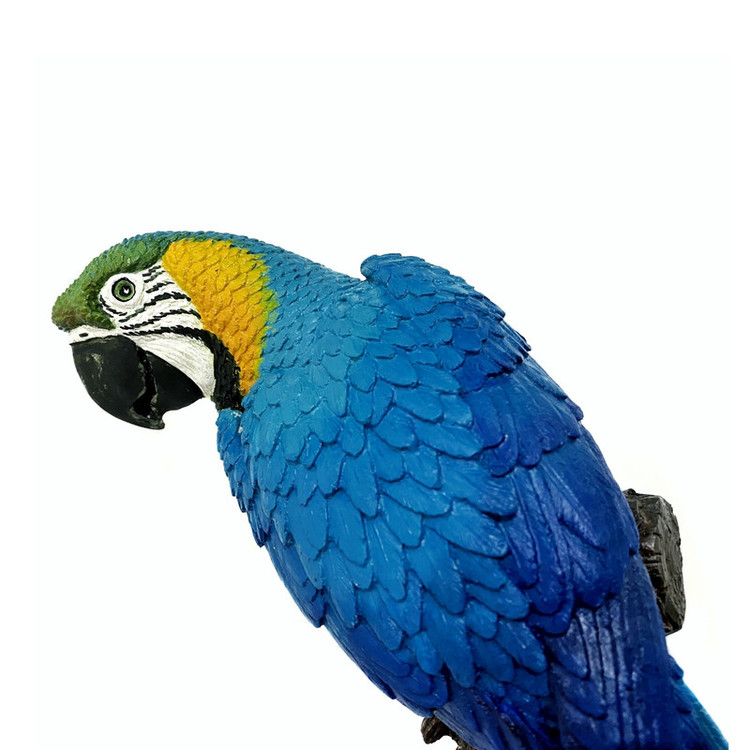 مجسمه مدل طوطی