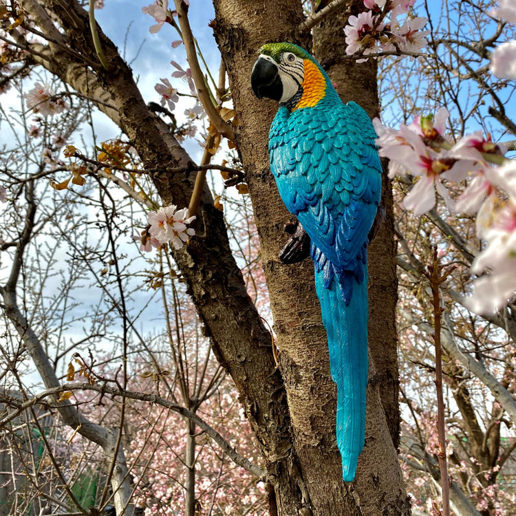 مجسمه مدل طوطی