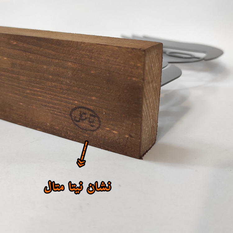 تندیس نیتا متال مدل کادر درمان کد 1