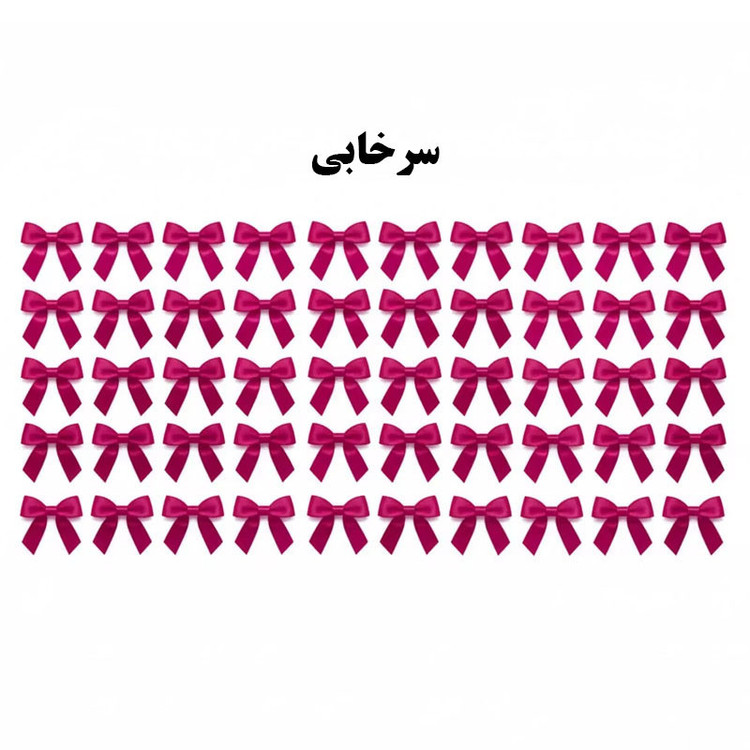 ابزار کادویی مدل پاپیون بسته 50 عددی