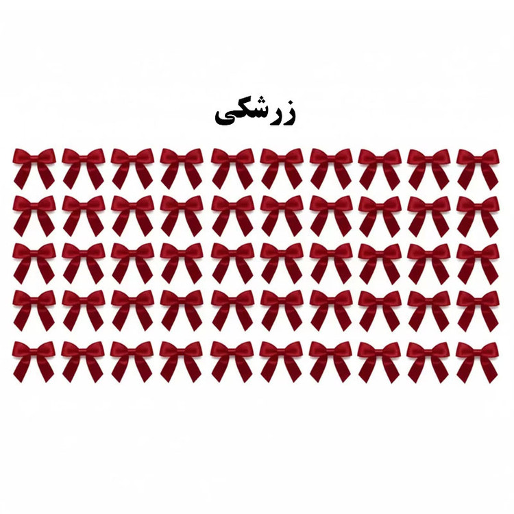 ابزار کادویی مدل پاپیون بسته 50 عددی