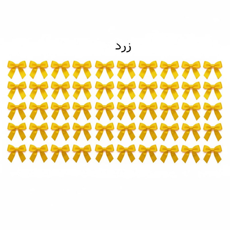 ابزار کادویی مدل پاپیون بسته 50 عددی