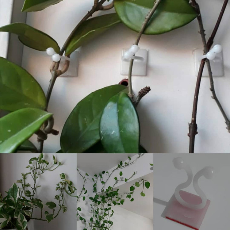 گیره مدل پتوس بسته 30 عددی