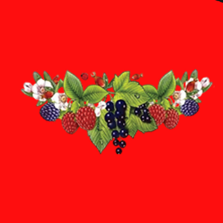 پیش بند آشپزخانه مدل ضدآب R.GRAPE