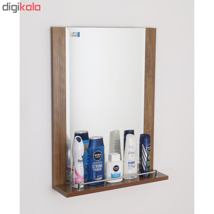 آینه دلفین مدل 1010-WD