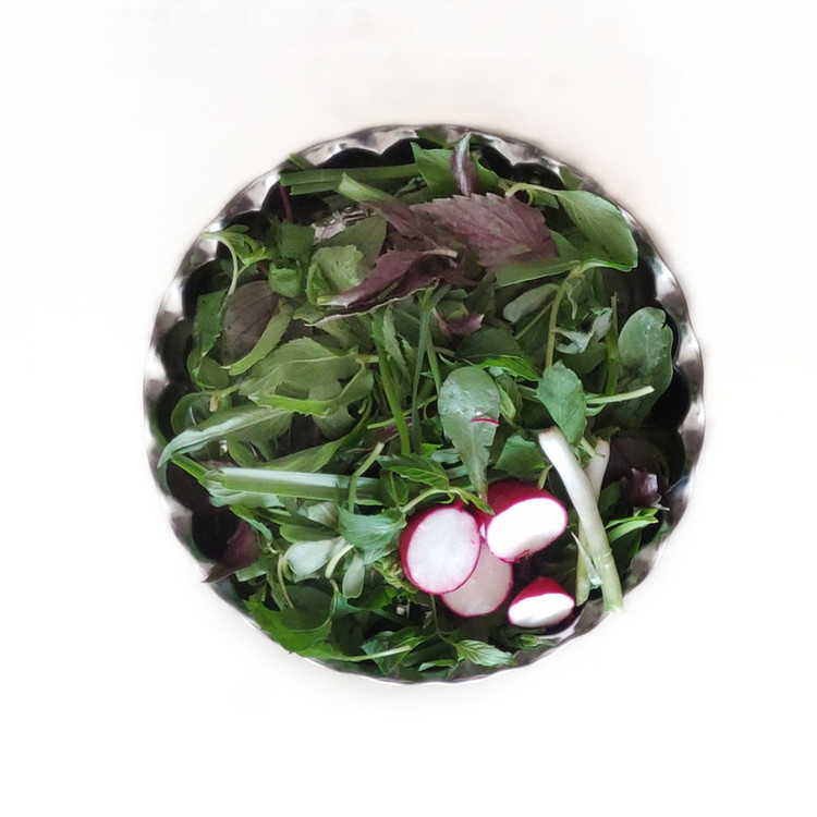 سینی مدل کنگره کد 12
