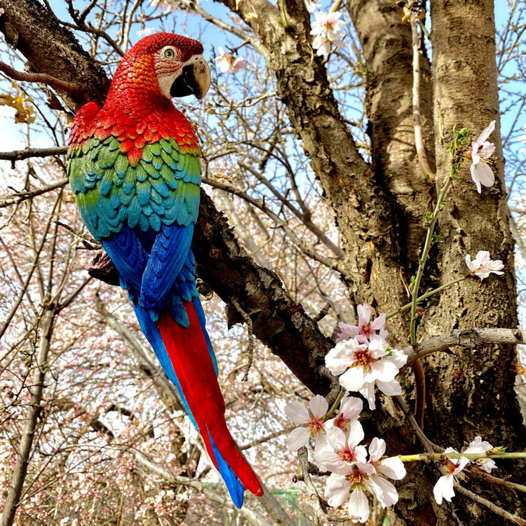 مجسمه مدل طوطی ماکائو