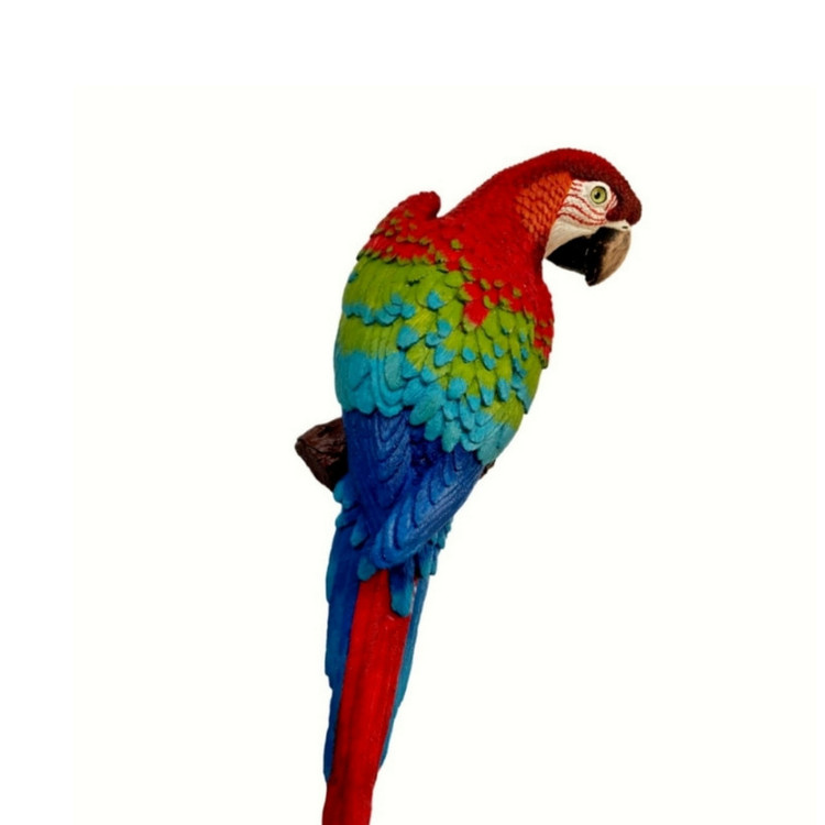 مجسمه مدل طوطی ماکائو