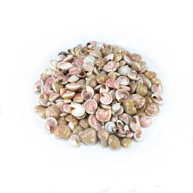 صدف و حلزون تزیینی مدل pink eye بسته 80 گرمی